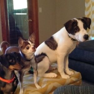 Meet your Posher, Lori